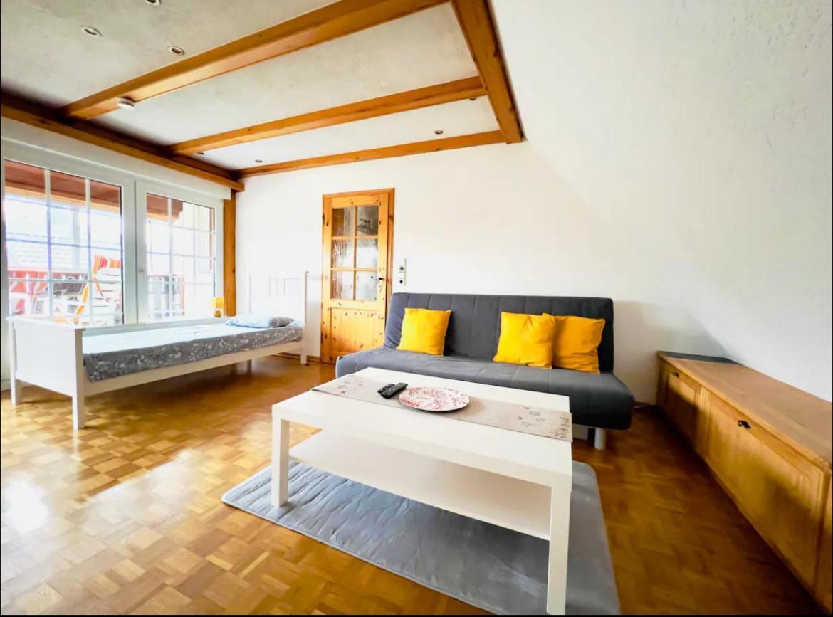 3 Sonnige Appartements In 졸타우 외부 사진